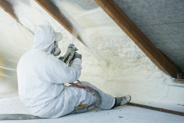 Eco-Friendly Insulation Solutions in Coosada, AL